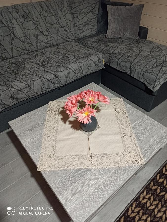 Brand New 2020 Specious Apartment Druzi 2 帕利亚尼西亚 外观 照片